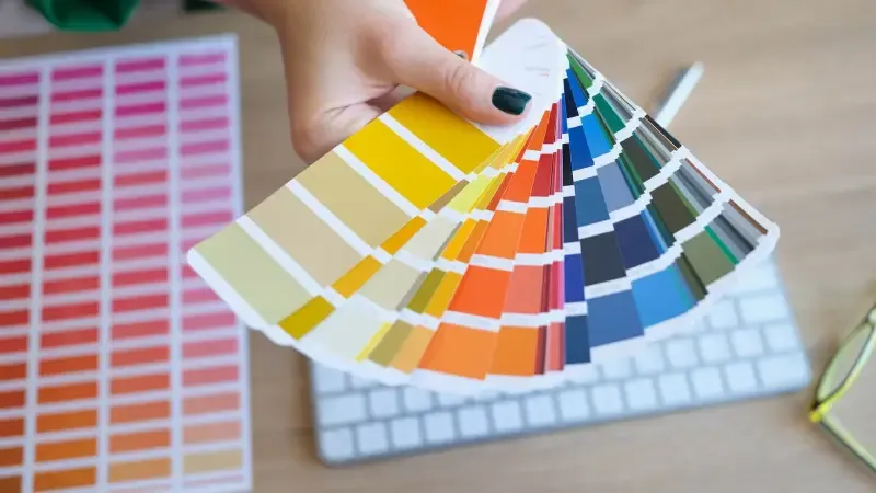 Color Consultation service illustration