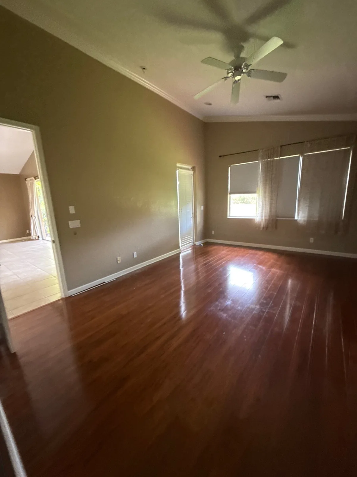 Interior Painting in Coral Gardens, Florida. Empty room with olive-green painted walls, white crown molding and baseboards, ceiling fan and dark wood floor.