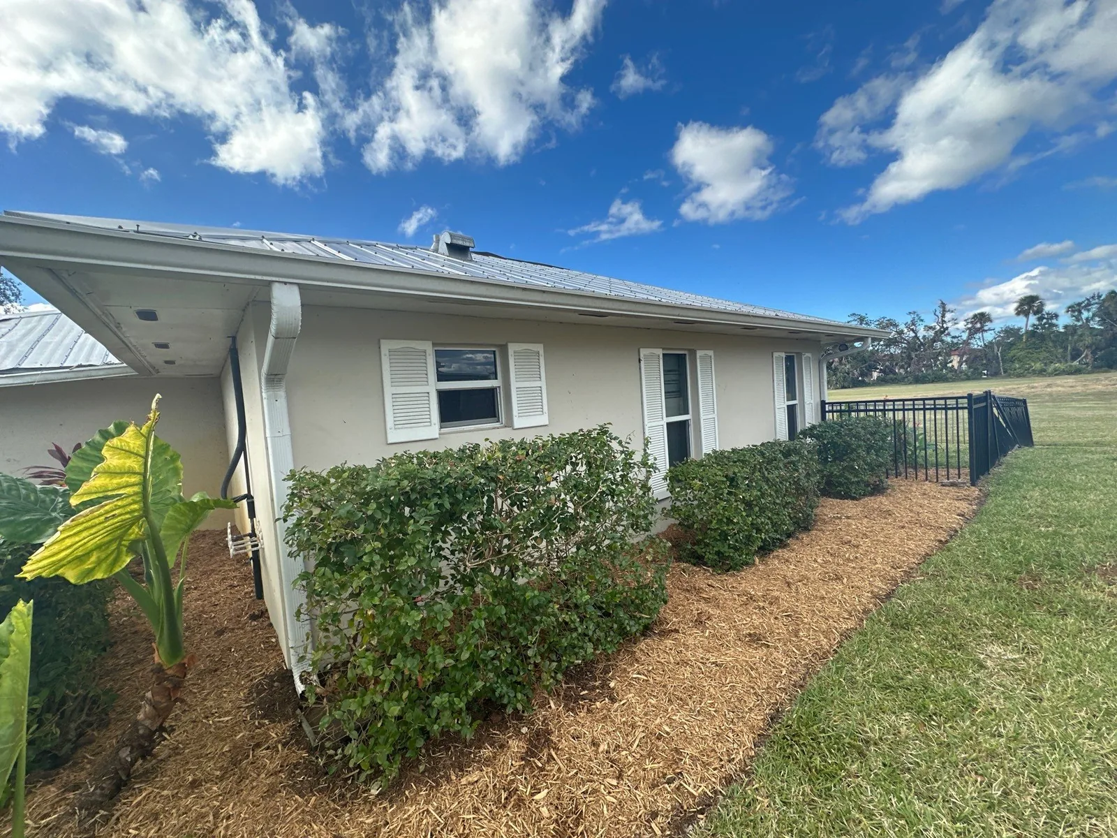 Exterior Painting in Florida Ridge, Florida. Single-storey home with beige stucco walls, white trim and white louvered shutters, metal roof, hedge and mulch bed along the foundation.