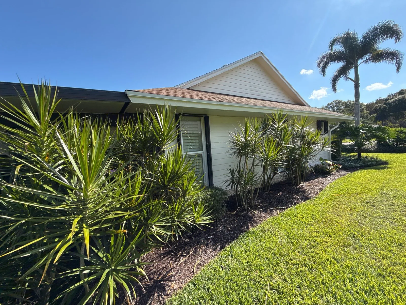 Exterior Painting in Hobe Sound, Florida. Side of a single-storey house with cream lap siding and white trim, yucca planting bed and mown lawn.