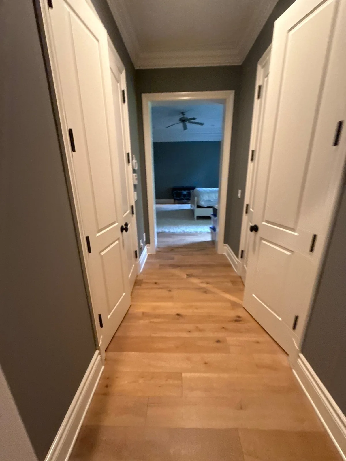 Interior Painting in Indian River Shores, Florida. Hallway with grey painted walls, white panel doors, white baseboards and crown moulding, wood floor.