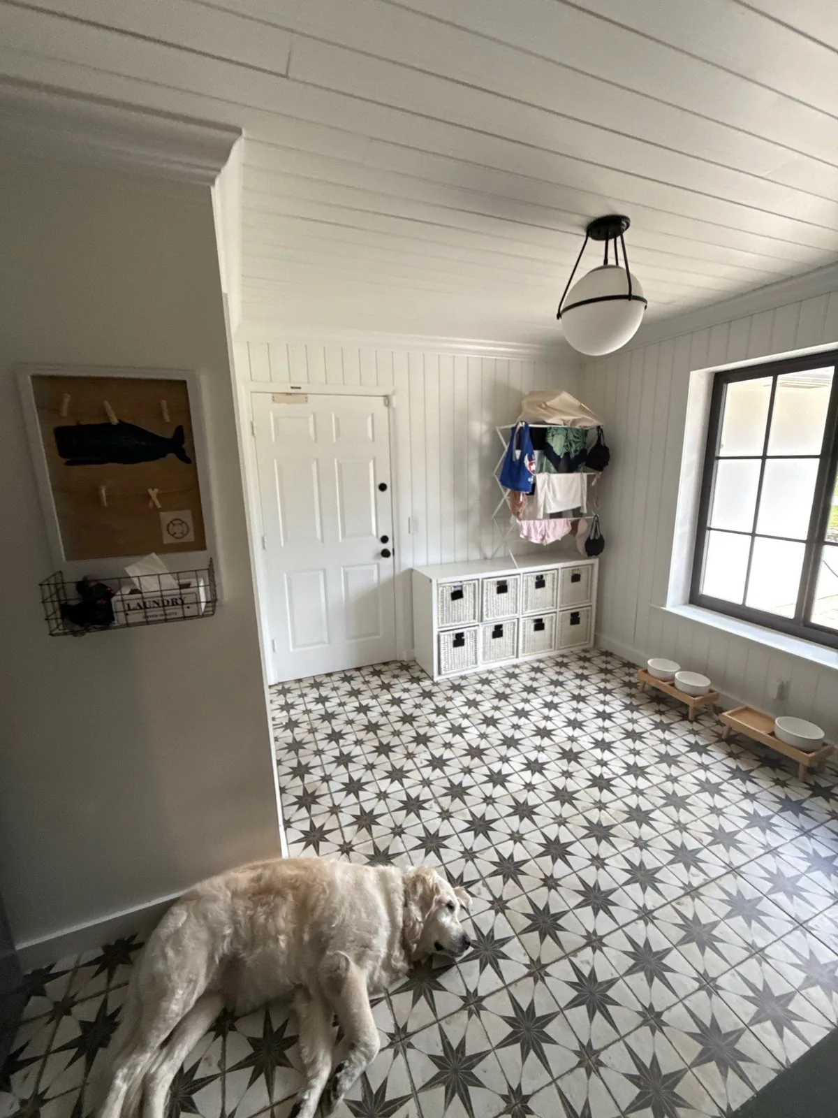 Interior Painting in Jupiter, Florida. Mudroom with white painted plank ceiling, board wainscot, door and trim, a built-in cubby bench and a patterned star tile floor, with a light-coloured dog lying on the floor in the foreground.