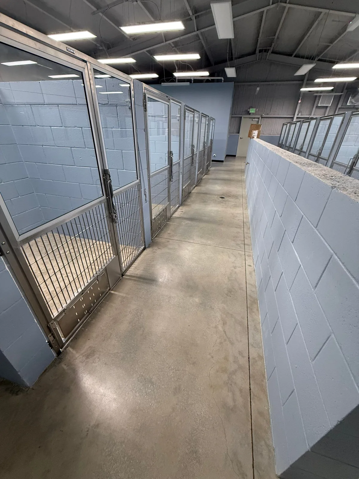 Commercial Painting in Port Saint Lucie, Florida. Kennel facility aisle with light blue painted concrete block walls, metal gates and sealed concrete floor.