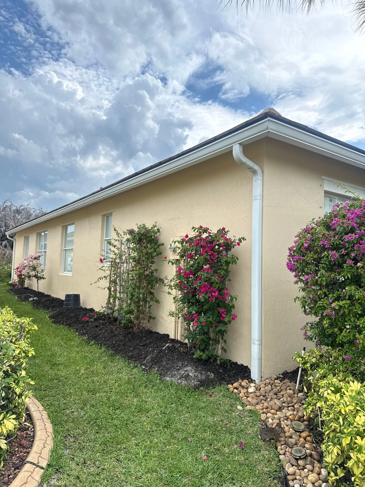 Exterior Painting in Port Saint Lucie, Florida. Side elevation of single-storey home, pale yellow stucco wall with white gutter and downspout, mulch bed and flowering shrubs along the base.