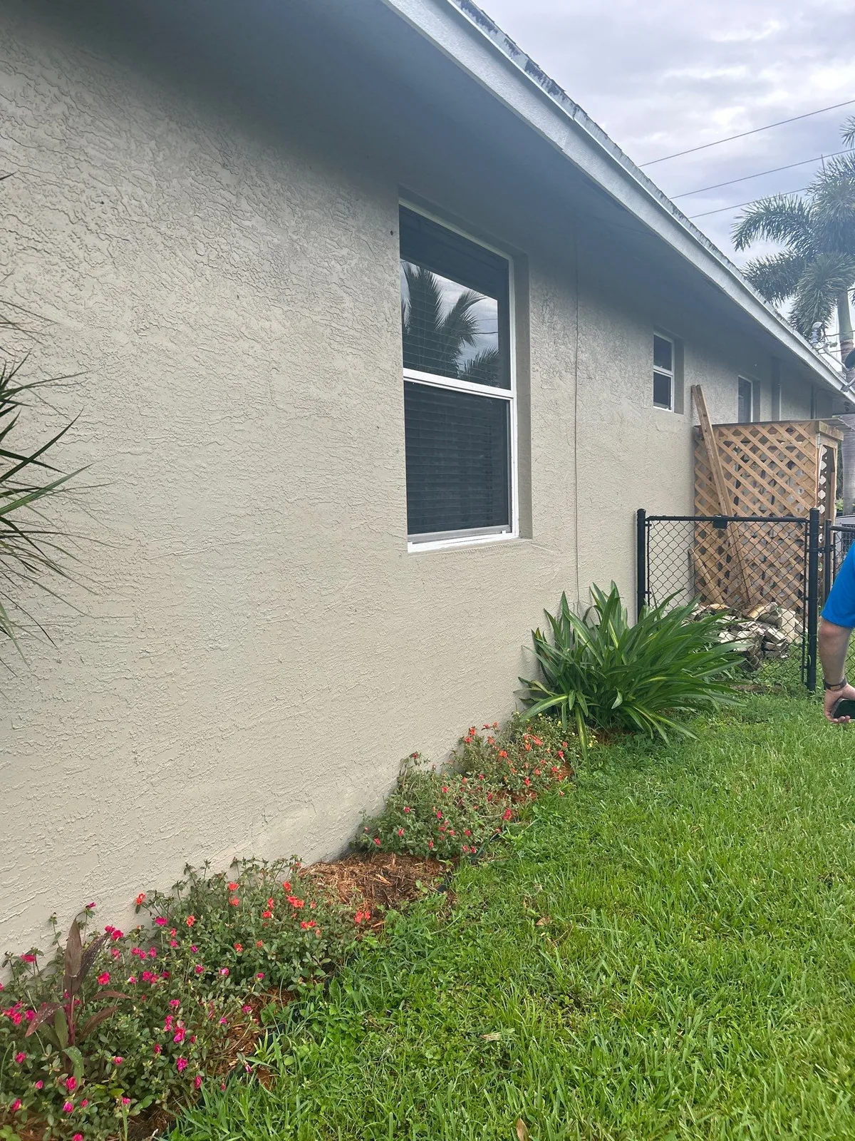 Exterior Painting in Port Saint Lucie, Florida. Side elevation of a single-storey house, off-white stucco with a white-trimmed window and flowering plants below.