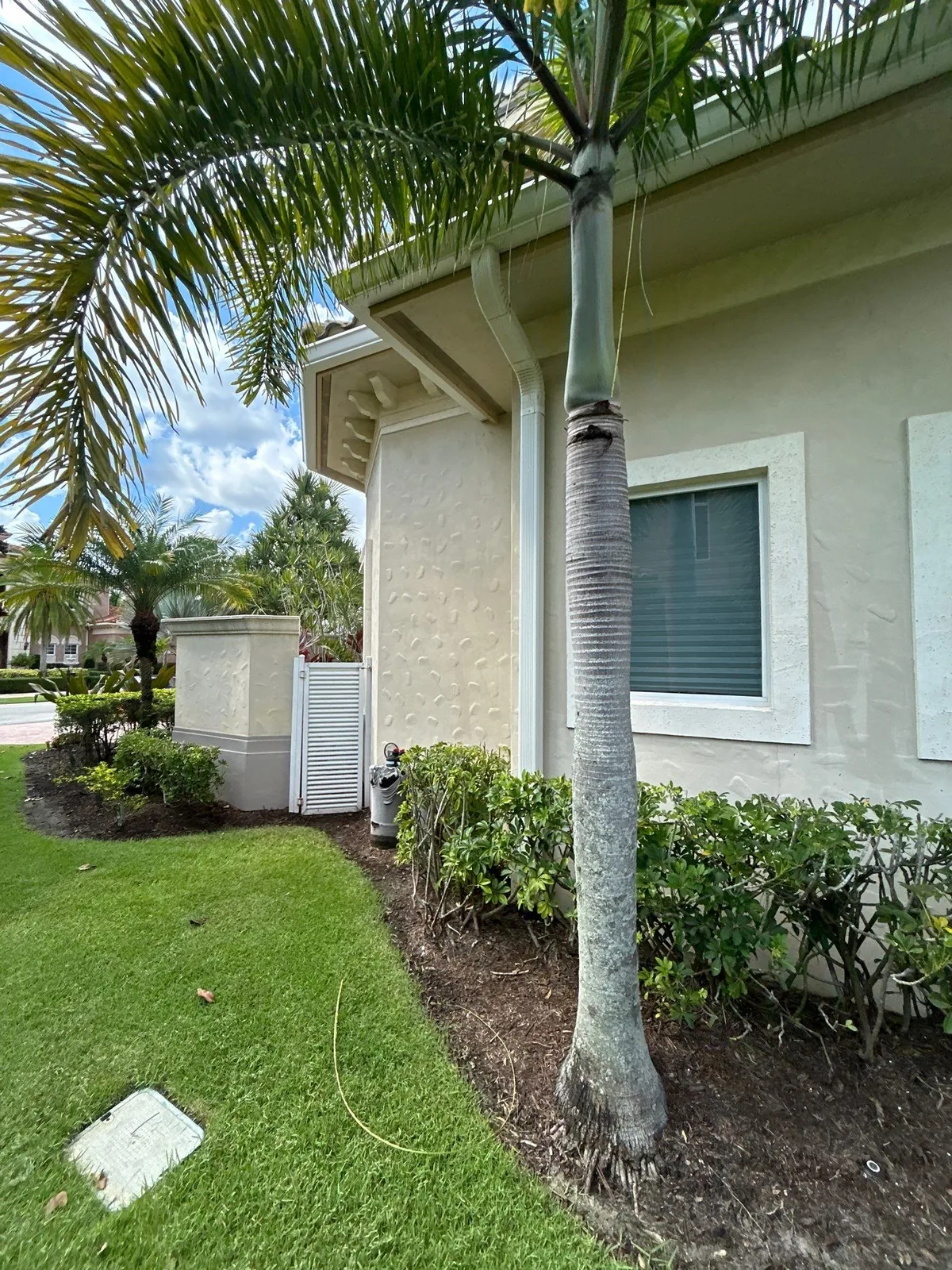 Exterior Painting in Port Saint Lucie, Florida. Corner of a single-storey stucco home in cream with white window trim, palm tree and shrubs in front.