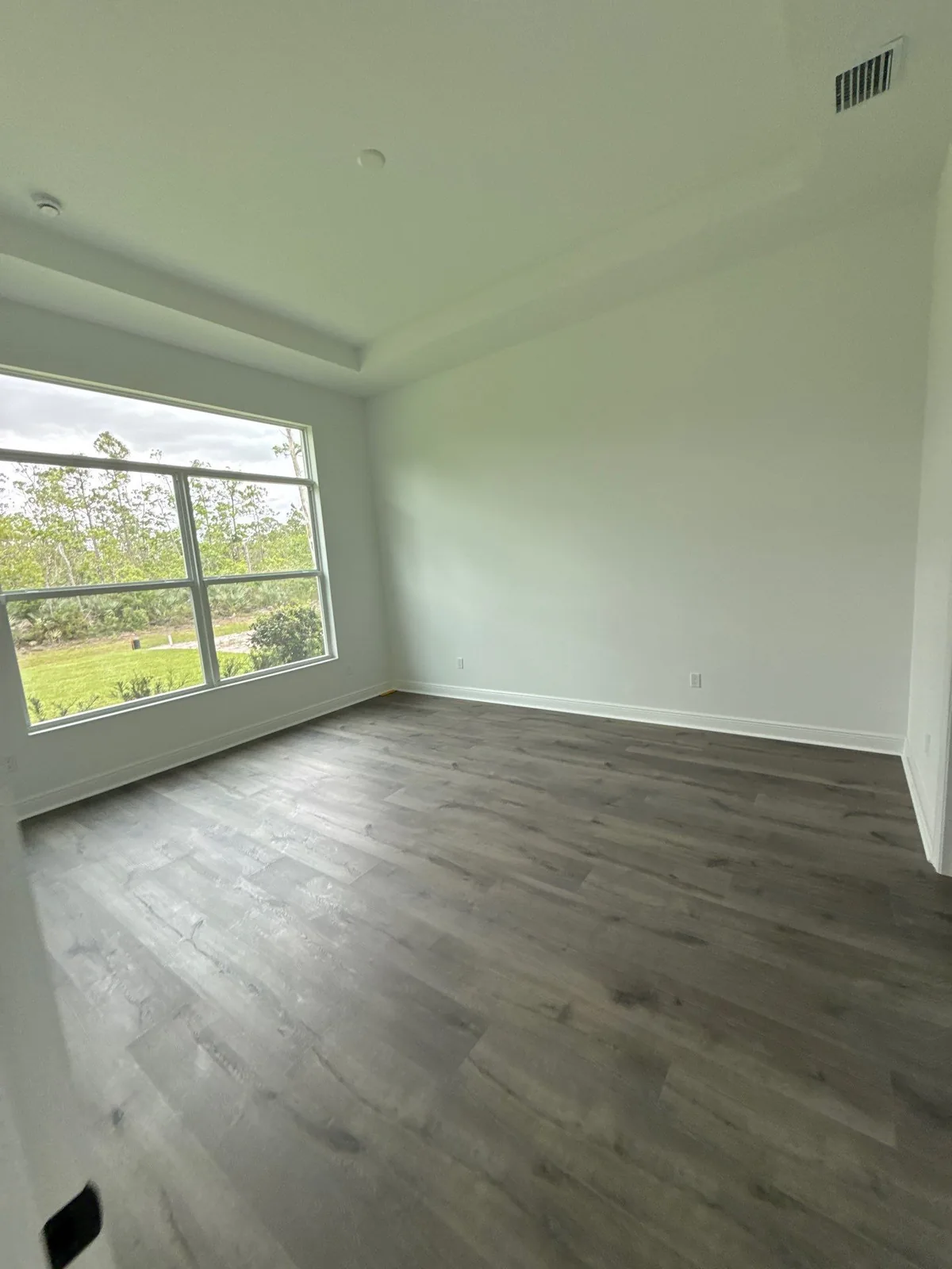 Interior Painting in Port Saint Lucie, Florida. Empty bedroom with pale painted walls, white baseboards, tray ceiling and wood-look plank flooring, window looking onto greenery.