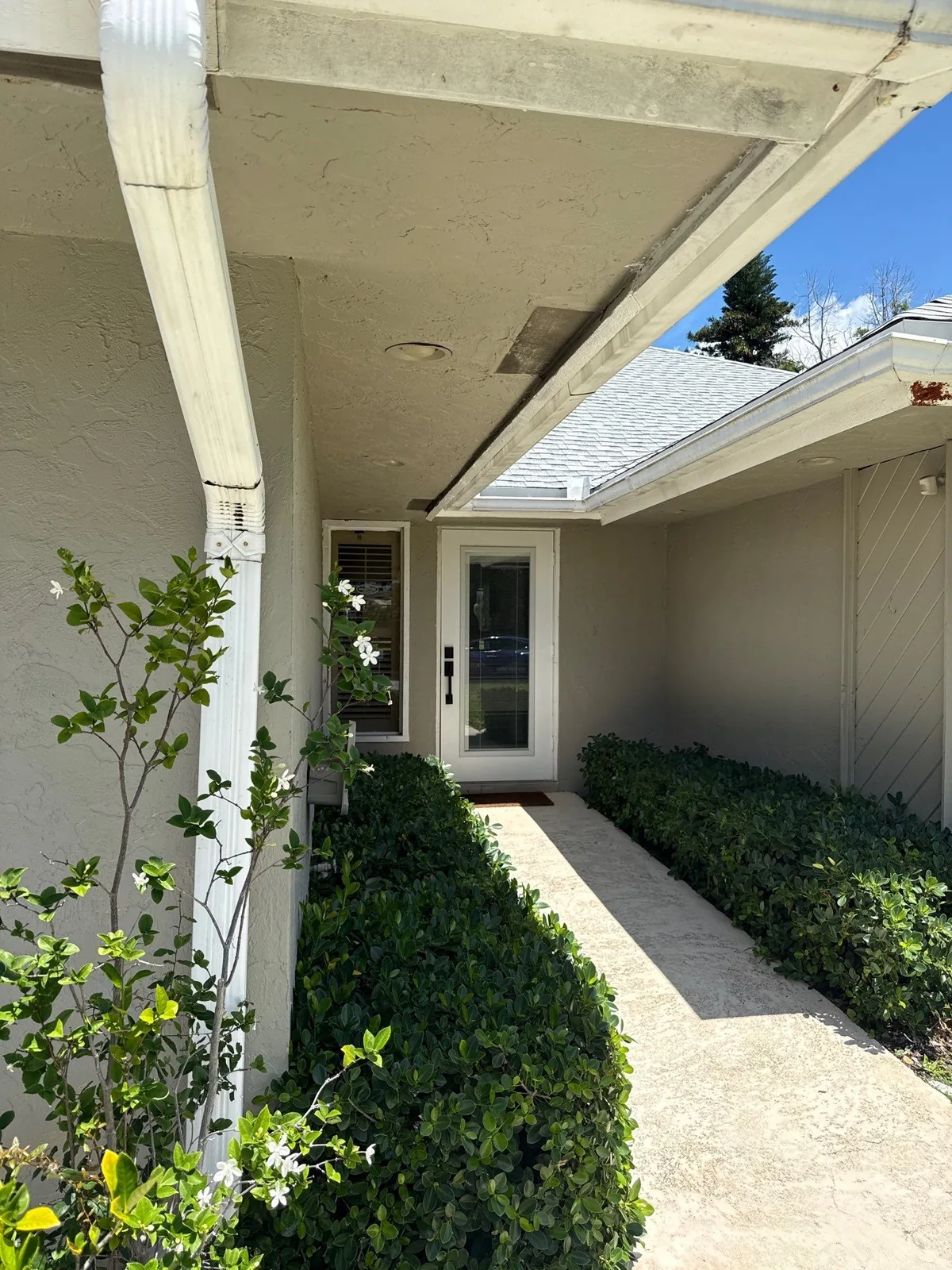 Exterior Painting in Wellington, Florida. Single-storey home entry walkway with painted stucco walls, white soffit and beams, glass-panel front door and trimmed hedges under blue sky.